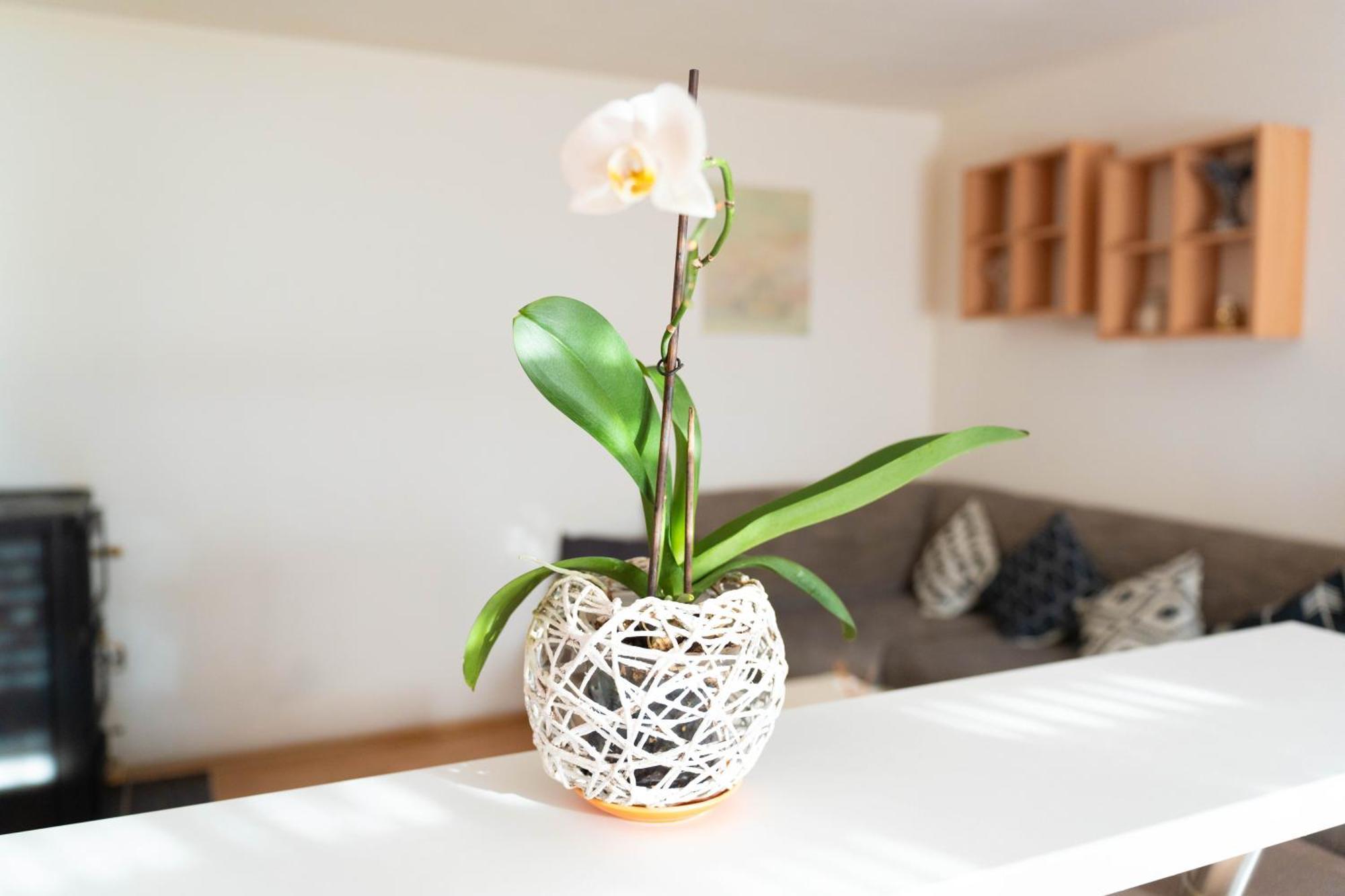 Apartman Lili Knin Zewnętrze zdjęcie
